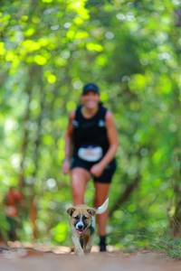 BIB: 
                            <button type="button" onclick="openModal(19014441)" class="btn btn-primary btn-sm float-right btn-popup" data-toggle="modal" data-target=".modal-high-quality">
                        <i class="fas fa-shopping-cart"></i> Add to Cart
                    </button>
                                            <button type="button" onclick="isThisMe(19014441, true)" class="btn btn-success btn-sm float-right btn-popup btn-isme hidden" data-toggle="tooltip" data-placement="bottom" title="นี่คือรูปของคุณใช่ไหม คลิกที่นี่เพื่อเอาเข้าอัลบั้ม">
                        <i class="fas fa-plus"></i> Add to album
                    </button>
                    <button type="button" onclick="isThisMe(19014441, false)" class="btn btn-warning btn-sm float-right btn-popup btn-isnotme hidden">
                        <i class="fas fa-ban"></i> Remove from album
                    </button>